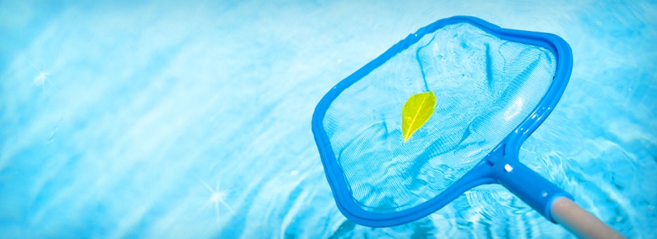 Winter Garden Pool Cleaning